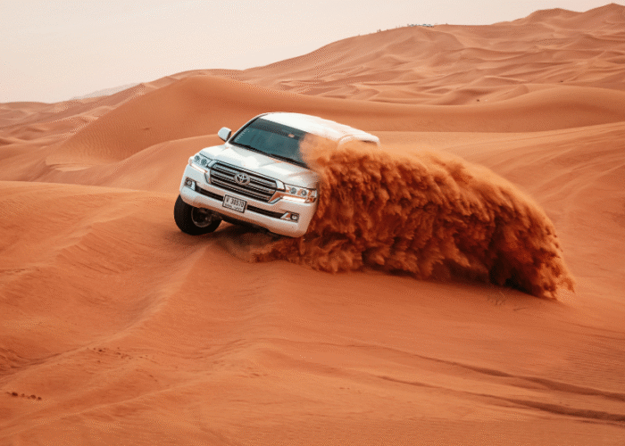 Evening Desert safari