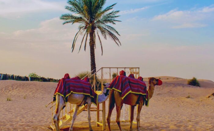 Morning Desert safari Dubai